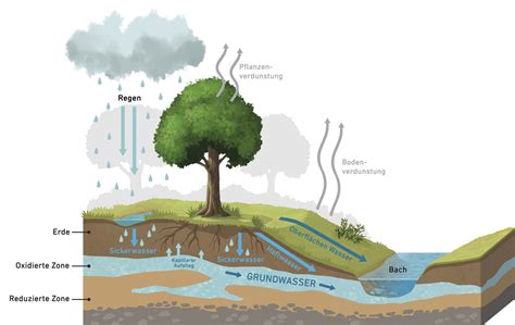 Regen Wasserspeicherung: Nützliche Wasserspartechniken